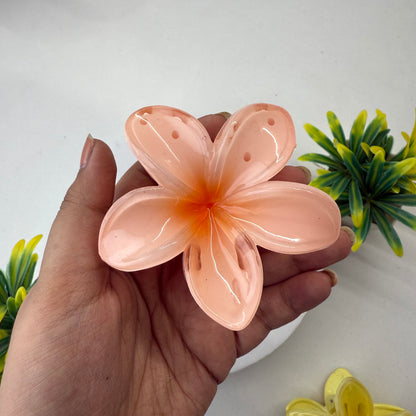 Set of 2 - Big Size