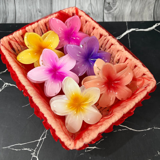 Flower Basket ( Pack of 6 )