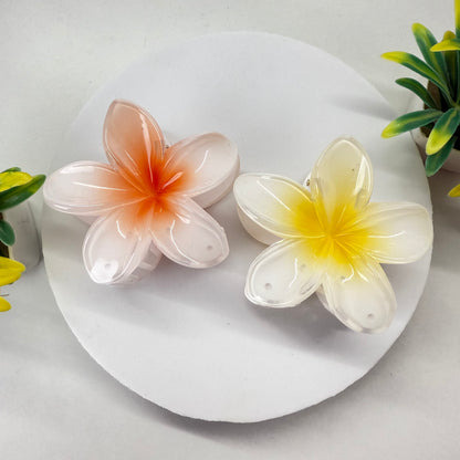 Set of 2 - Big Size
