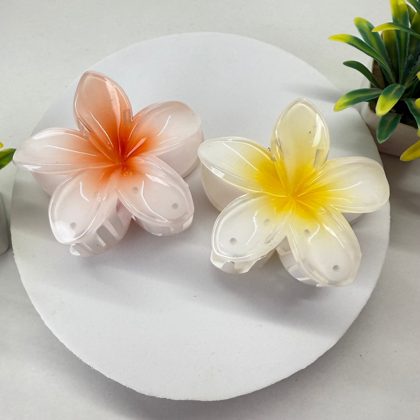 Set of 2 - Big Size