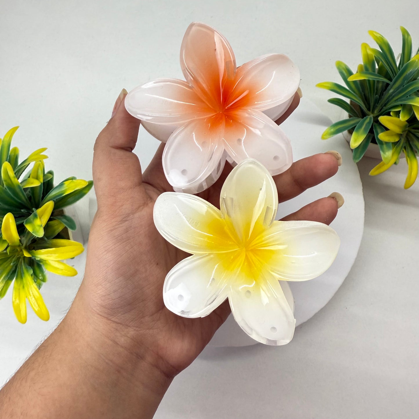 Set of 2 - Big Size