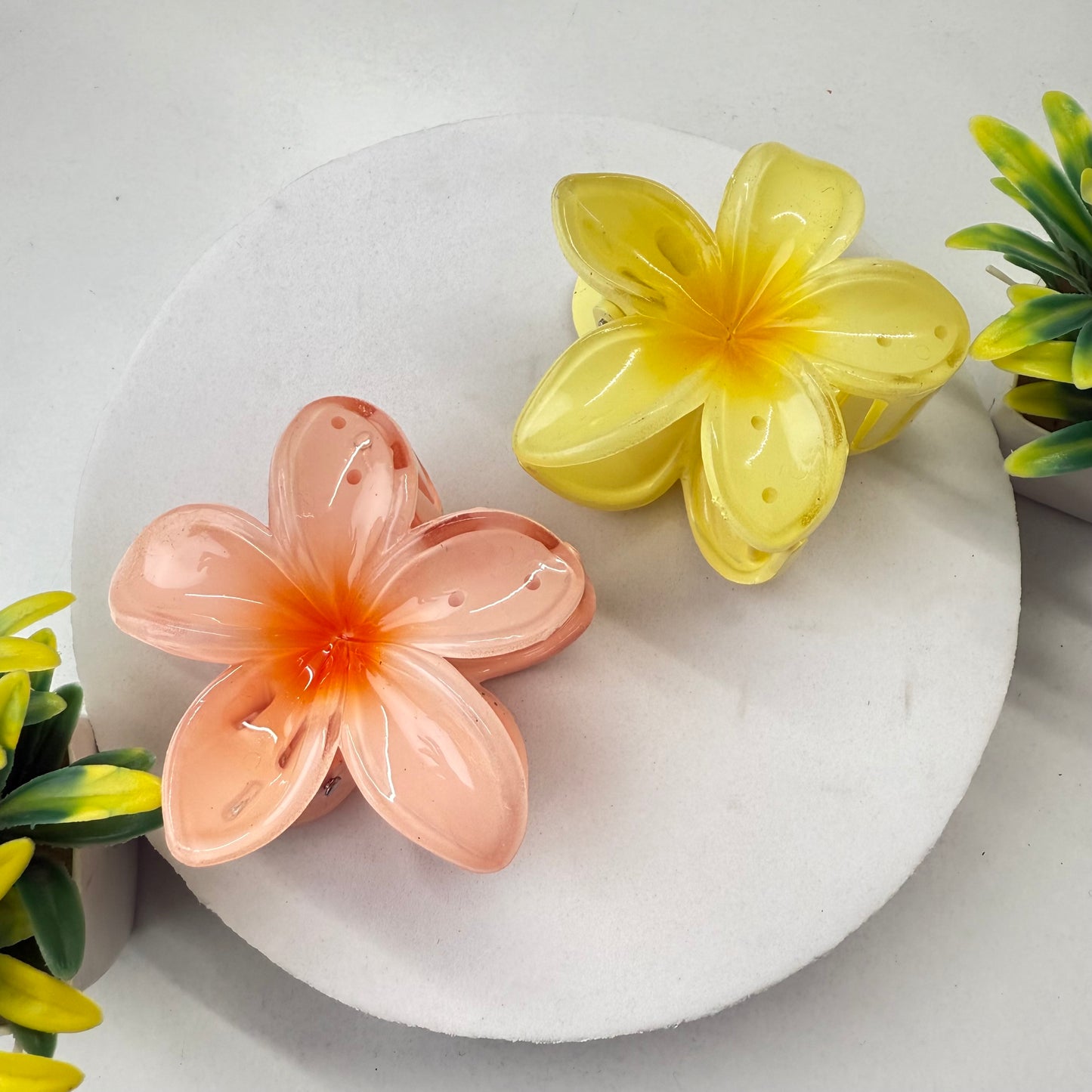 Set of 2 - Big Size