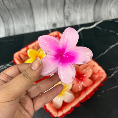 Flower Basket ( Pack of 6 )