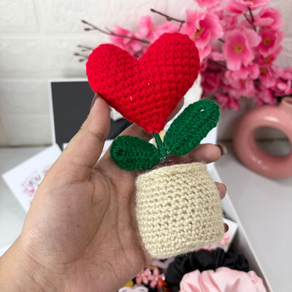 Premium Gift Hamper ( with box )