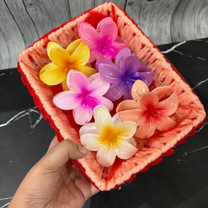 Flower Basket ( Pack of 6 )