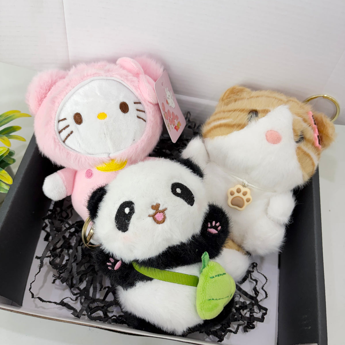 Cute Crew Gift Box