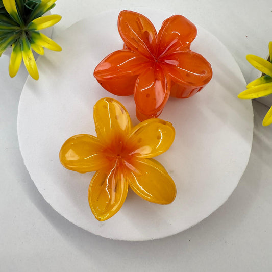 Set of 2 - Big Size