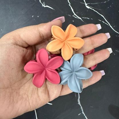 Set of 5 - Matte ( ASSORTED )